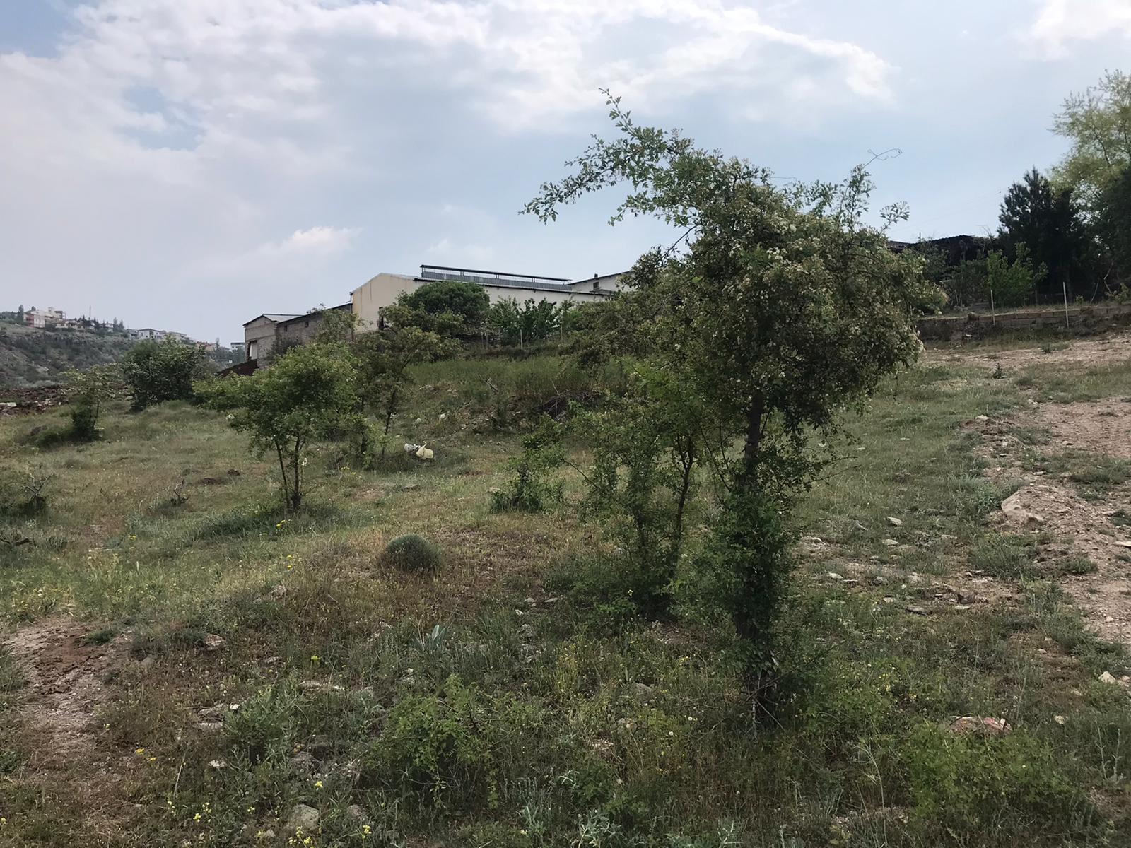 MİMSİN FATİH MAHALLESİ 670M2 RIZA İ TAKSİMİ YAPILMIŞ SATILIK DÜZ BAĞ - KAYSERİ MELİKGAZİ fotoğraf 12